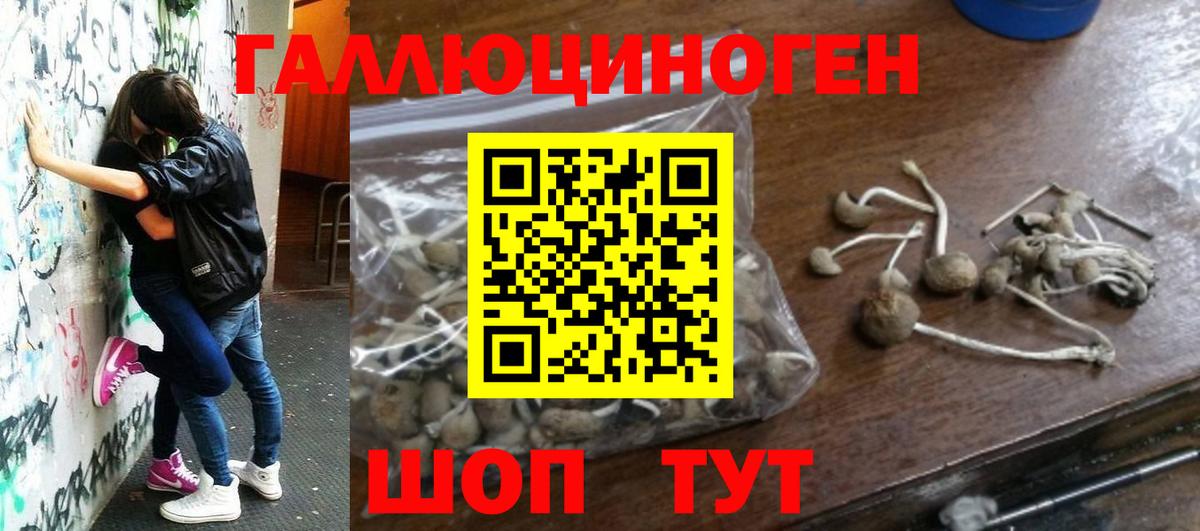 Галлюциногенные грибы GOLDEN TEACHER Волжский